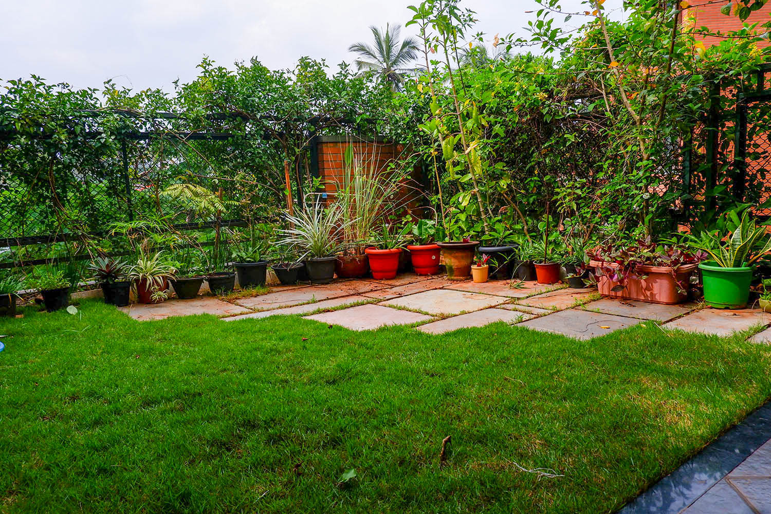 Terrace Gardening